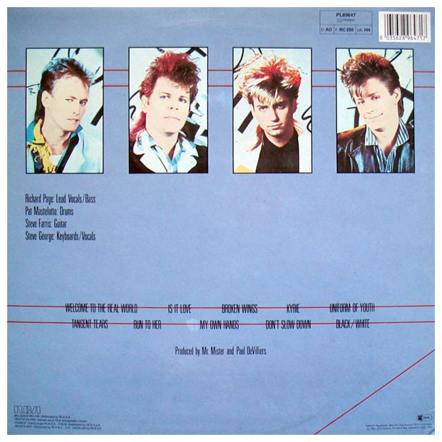 MR. MISTER - WELCOME TO THE REAL WORLD | VINILO USADO