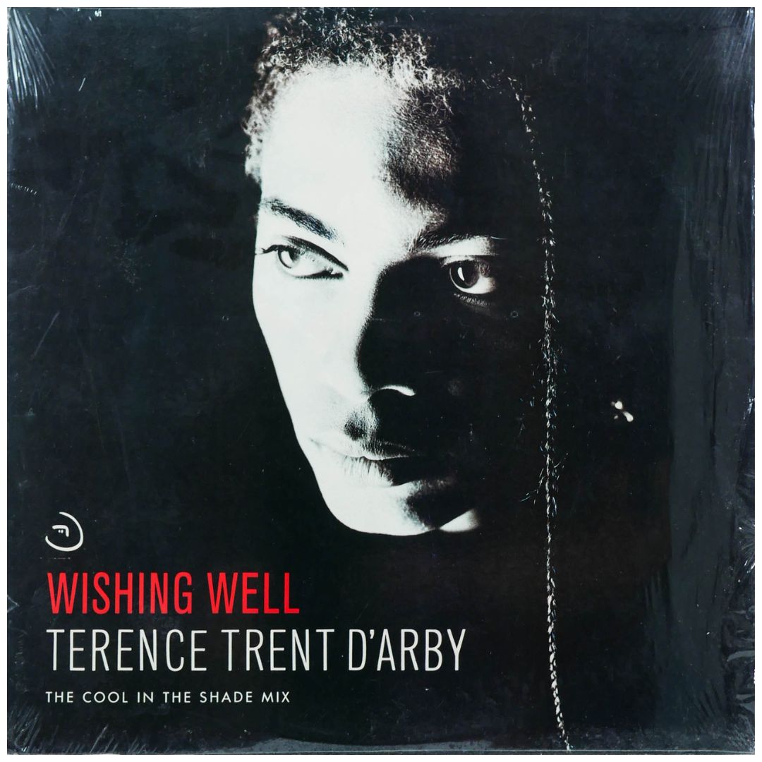 TERENCE TRENT D'ARBY - WISHING WELL | 12" MAXI SINGLE USADO