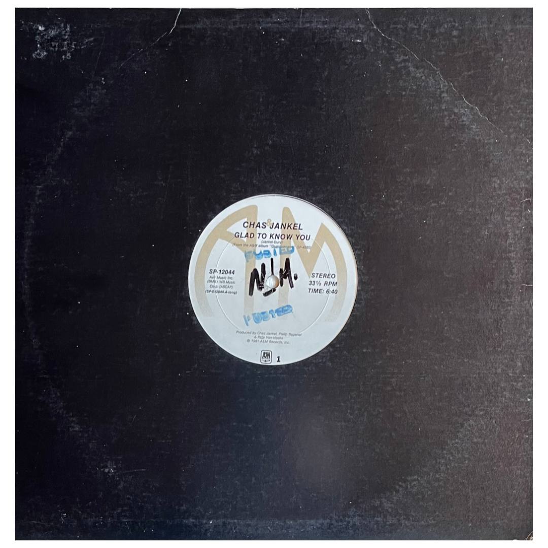 CHAS JANKEL - GLAD TO KNOW YOU | 12" MAXI SINGLE USADO