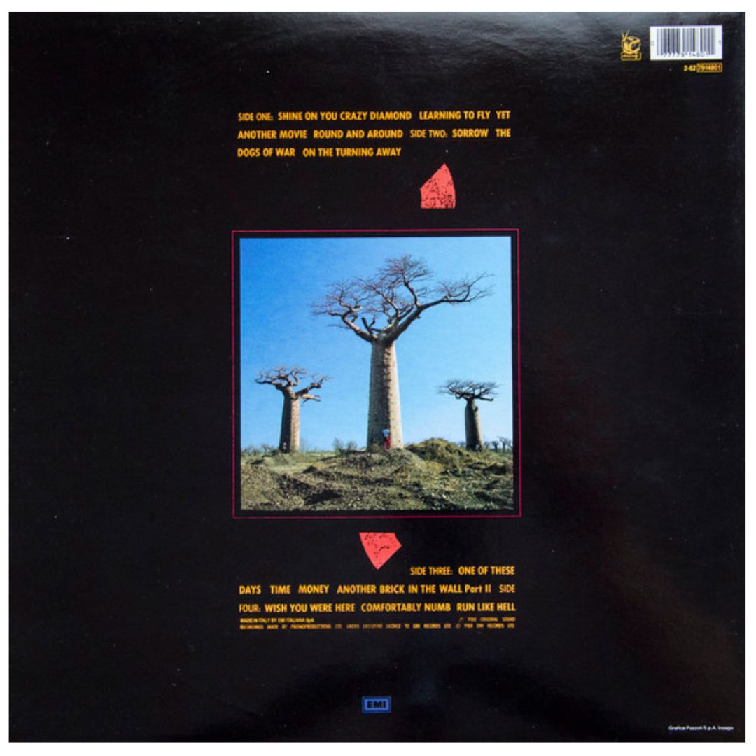 PINK FLOYD - DELICATE SOUND OF A THUNDER (2LP) | VINILO