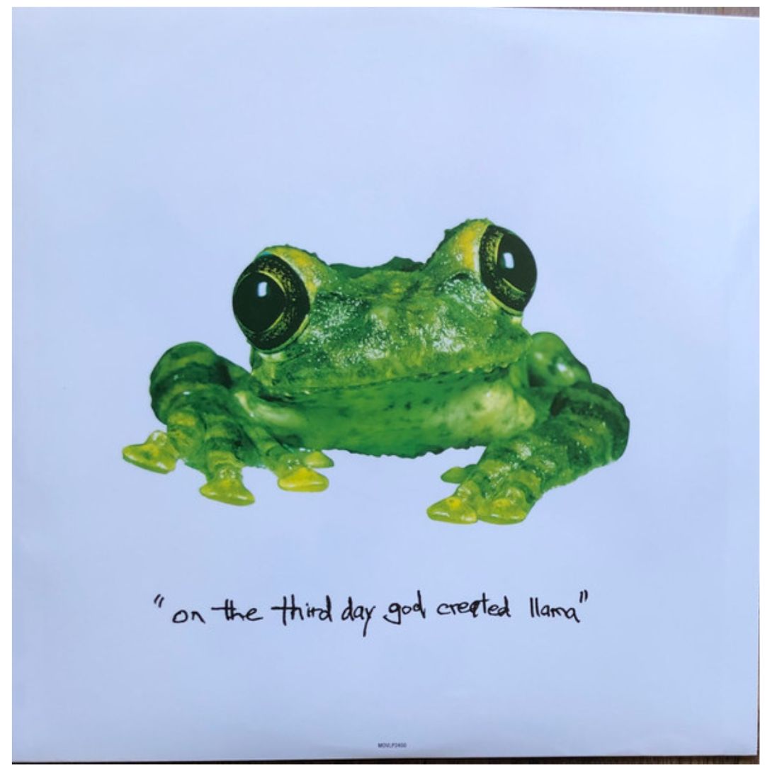 SILVERCHAIR - FROGSTOMP (CLEAR VINYL) (2LP) | VINILO