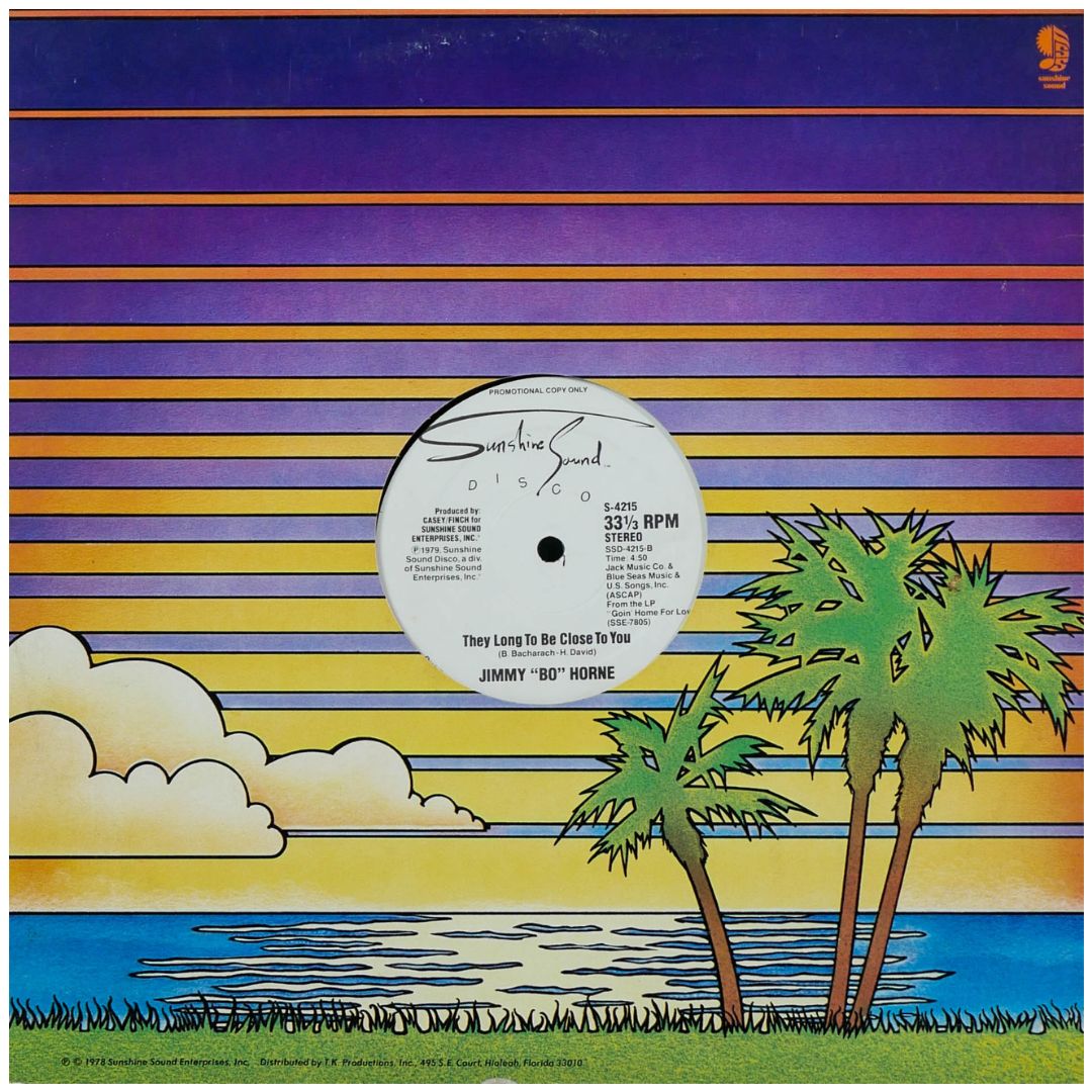 JIMMY "BO" HORNE - YOU GET ME HOT | 12" MAXI SINGLE USADO