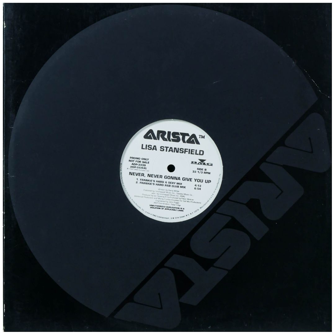 LISA STANSFIELD - NEVER NEVER GONNA GIVE YOU UP (PROMO) | 12" MAXI SINGLE USADO