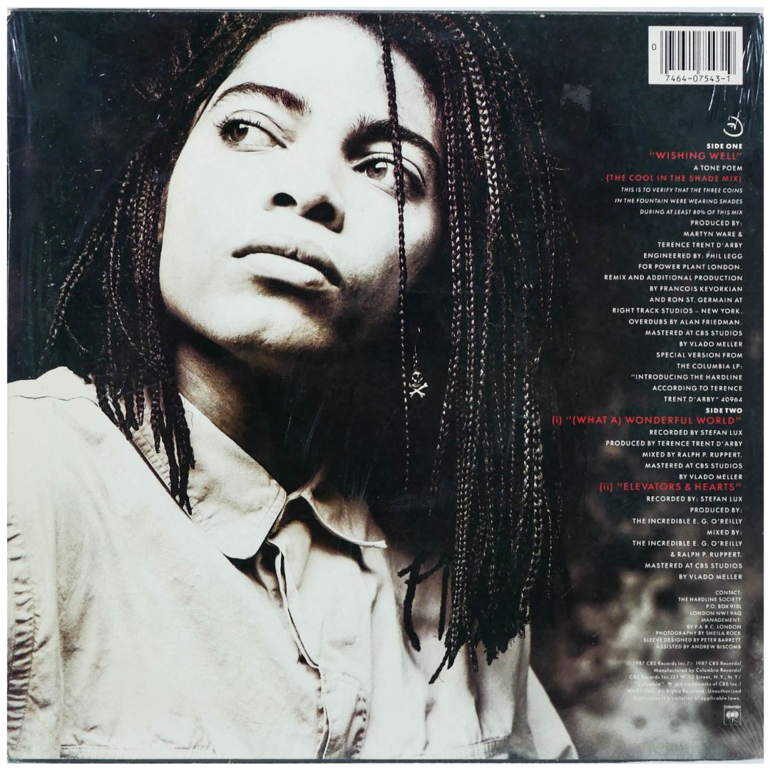 TERENCE TRENT D'ARBY - WISHING WELL | 12" MAXI SINGLE USADO