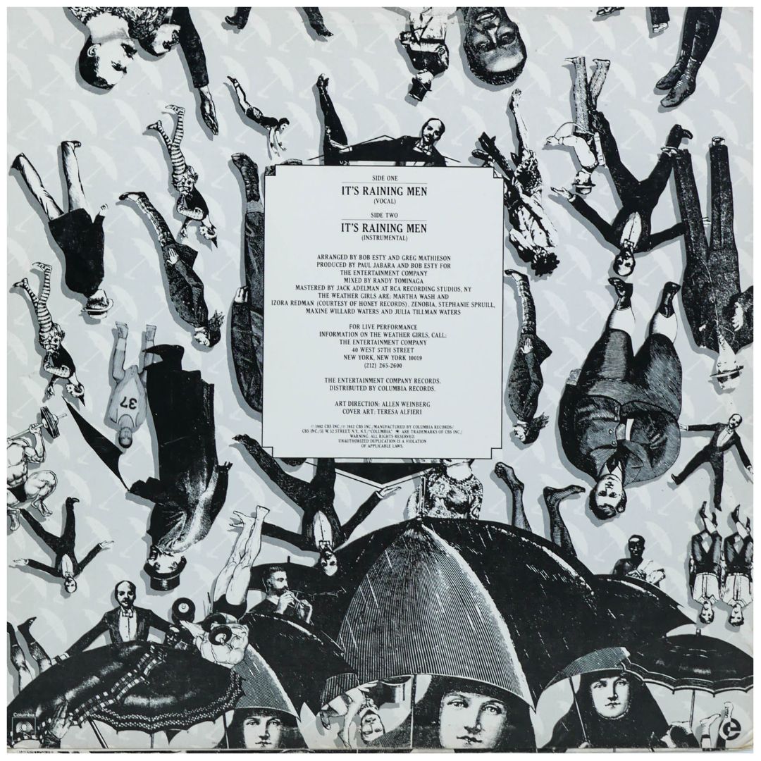 THE WEATHER GIRLS - IT'S A RAINING MEN | 12" MAXI SINGLE USADO