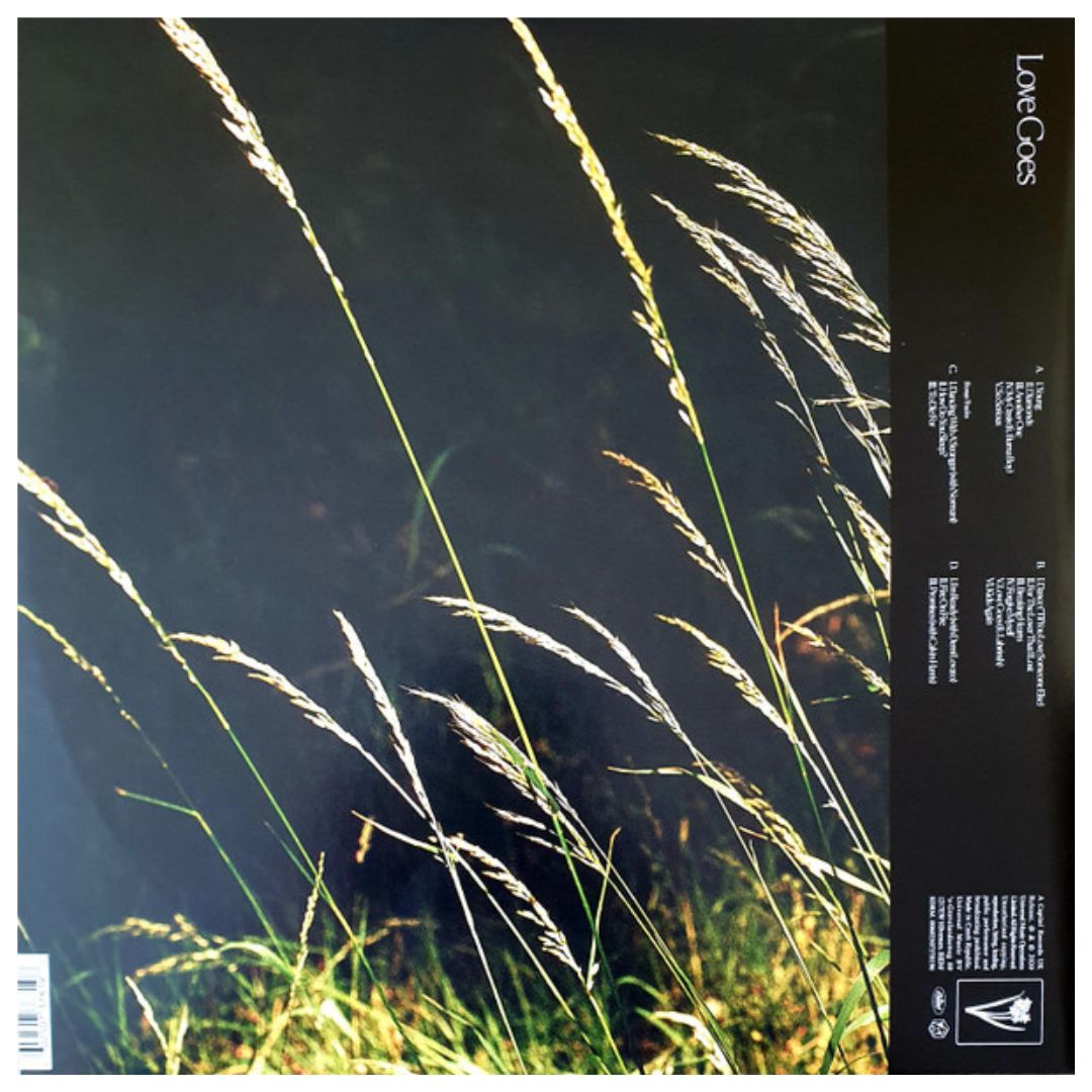 SAM SMITH - LOVE GOES (2LP) | VINILO