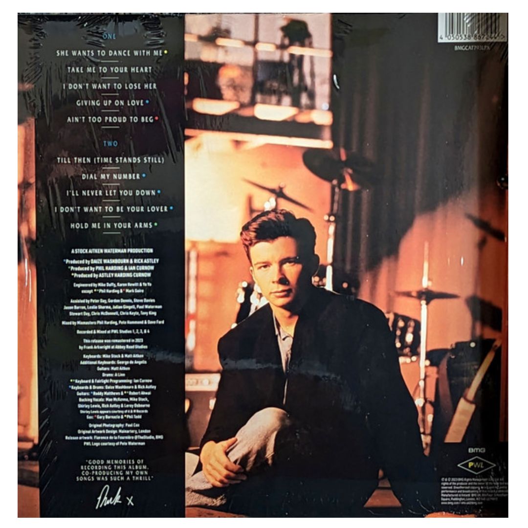 RICK ASTLEY - HOLD ME IN YOUR ARMS (UK) | VINILO