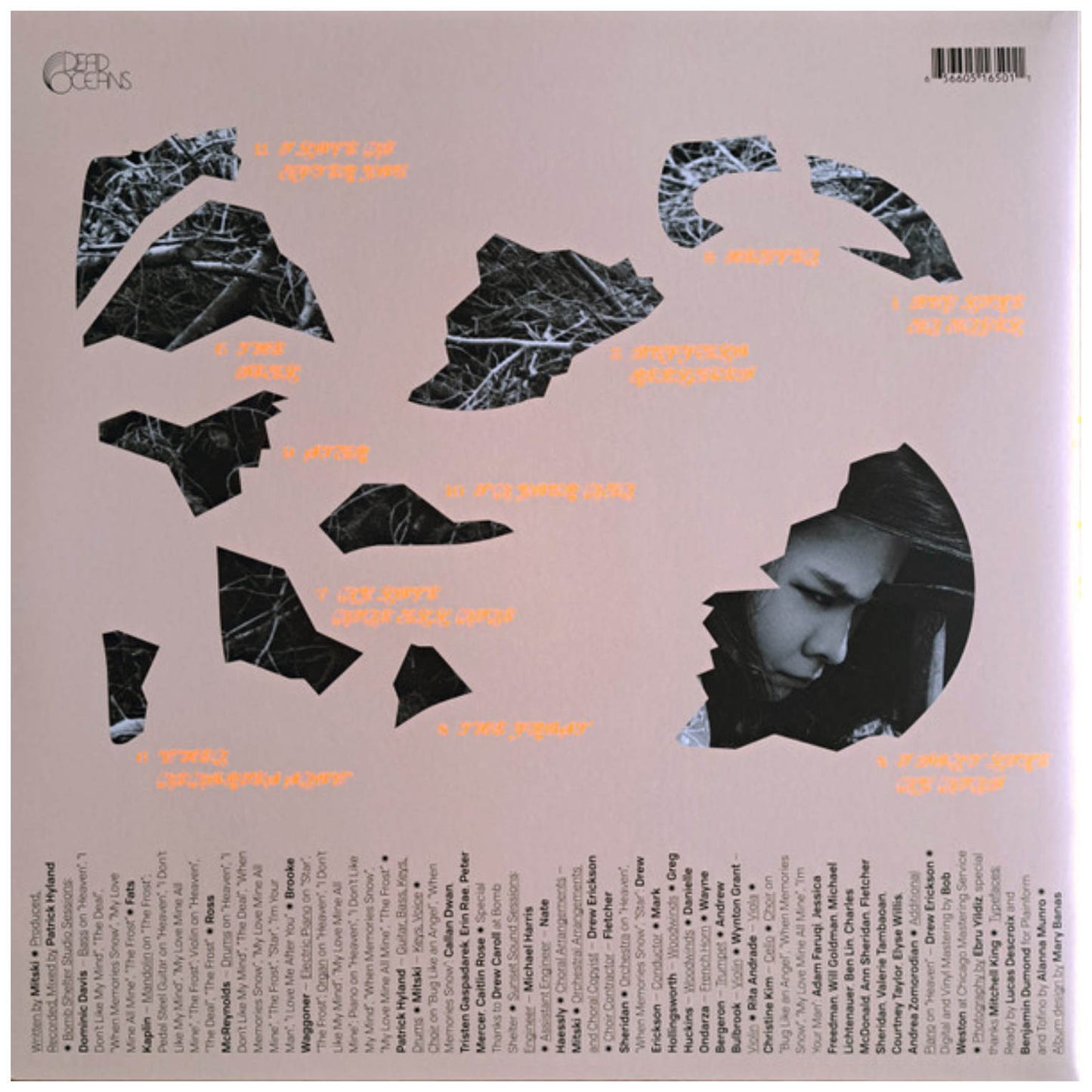 MITSKI - LAND IS INHOSPITABLE AND SO ARE WE | VINILO