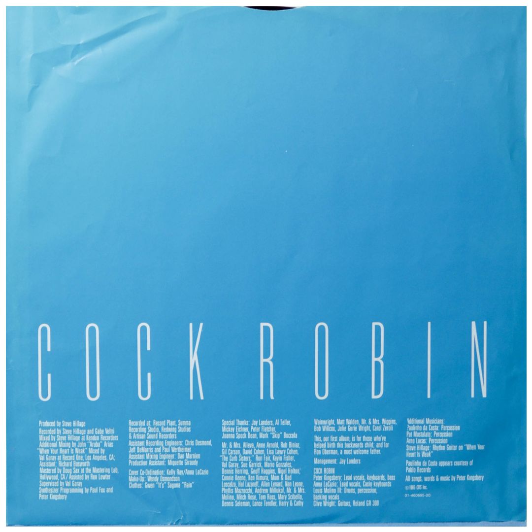 COCK ROBIN - COCK ROBIN | VINILO USADO
