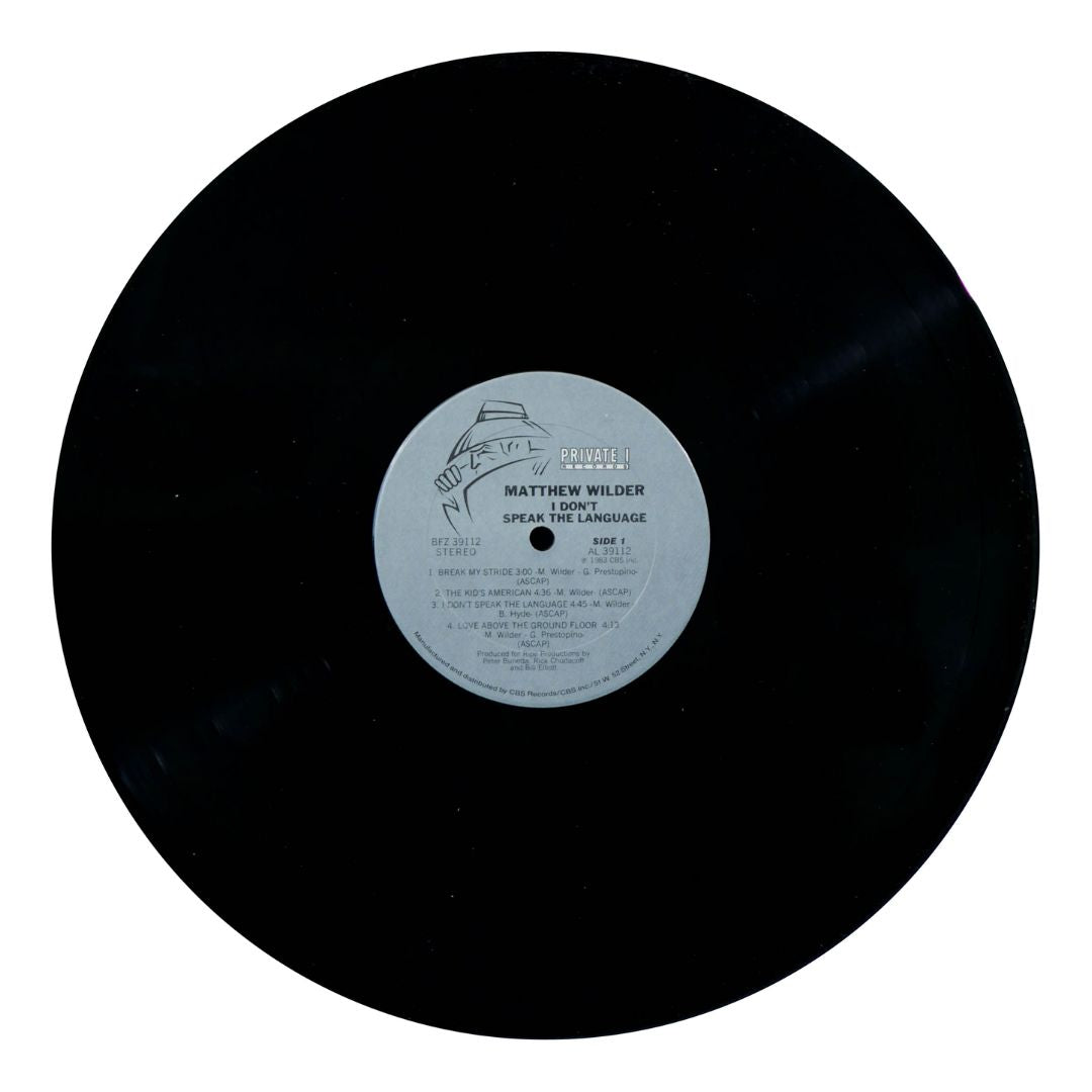MATTHEW WILDER - I DON'T SPEAK THE LANGUAGE | VINILO USADO