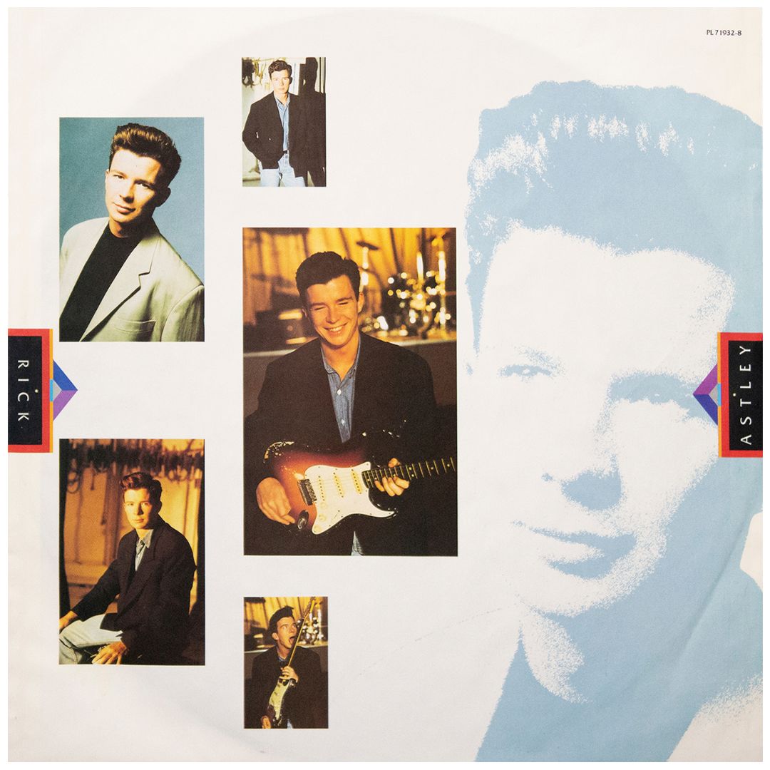 RICK ASTLEY - HOLD ME IN YOUR ARMS | VINILO USADO