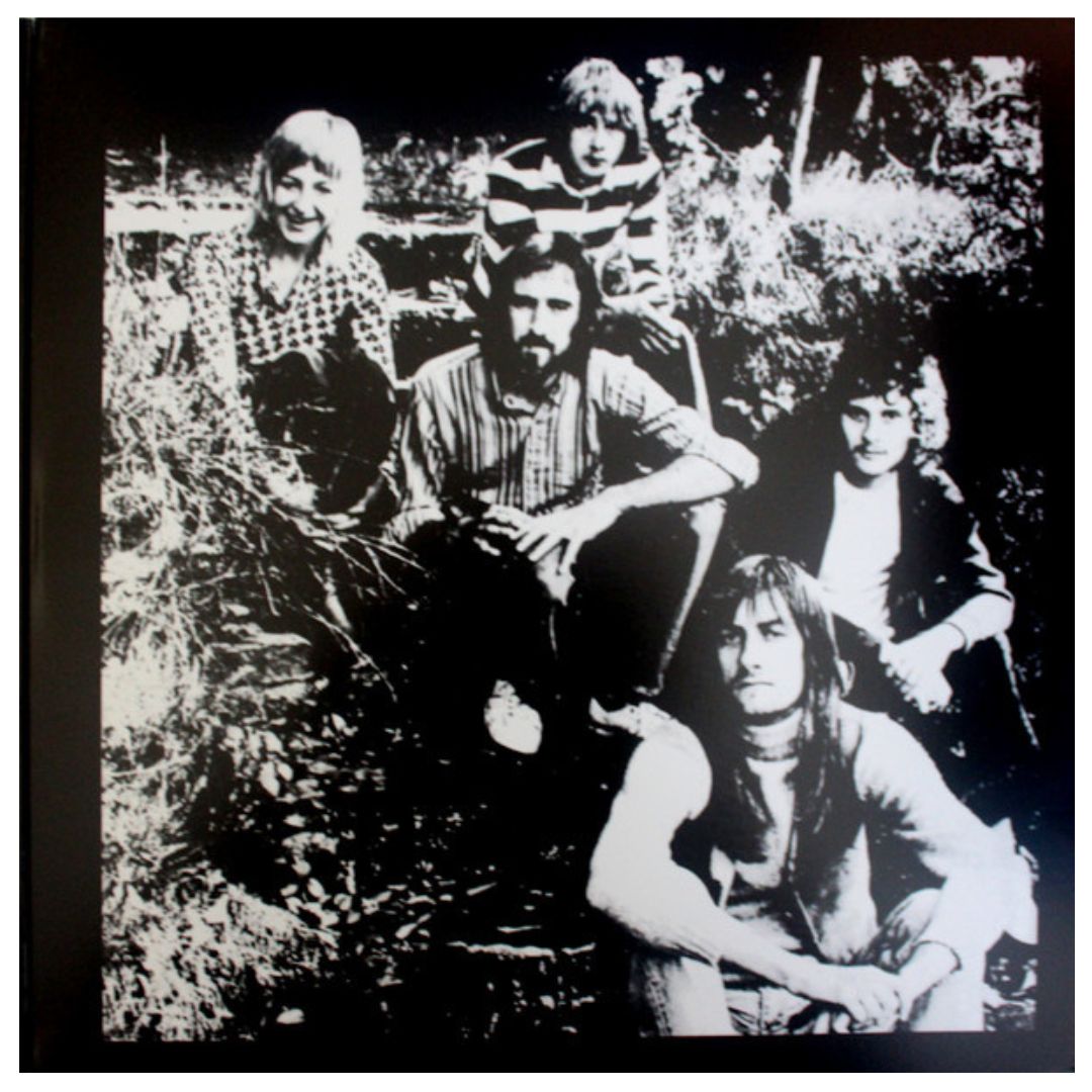FLEETWOOD MC - FM GREATEST HITS | VINILO