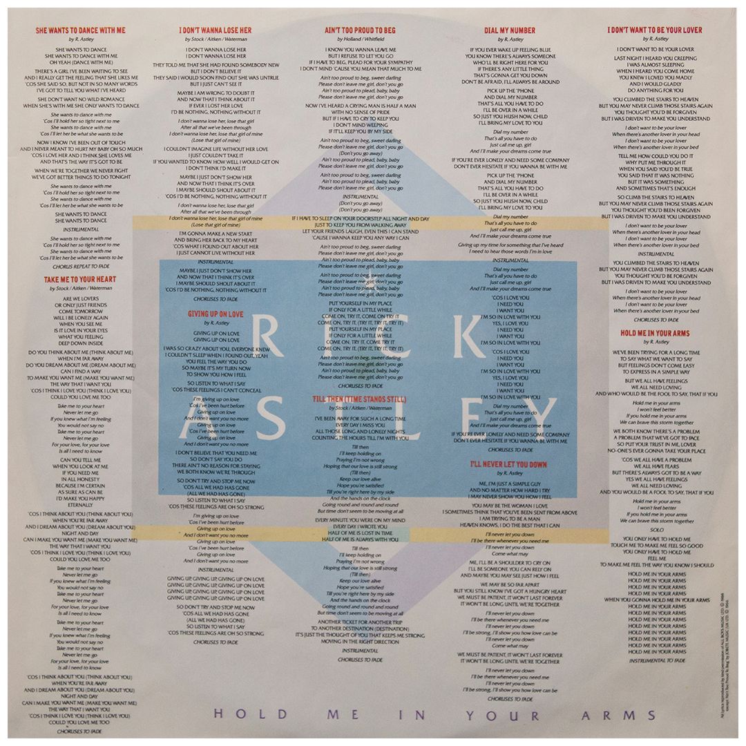 RICK ASTLEY - HOLD ME IN YOUR ARMS | VINILO USADO