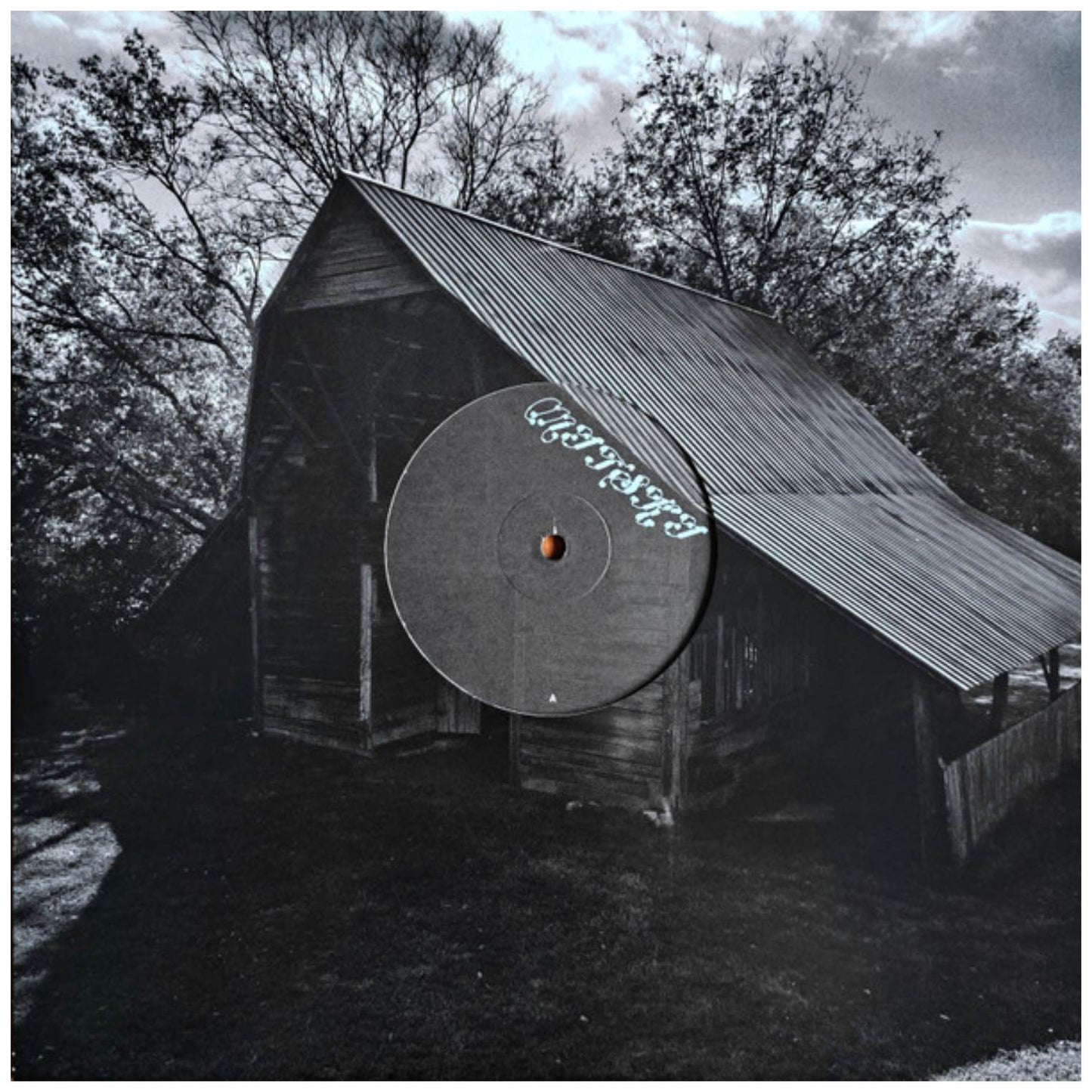 MITSKI - LAND IS INHOSPITABLE AND SO ARE WE | VINILO