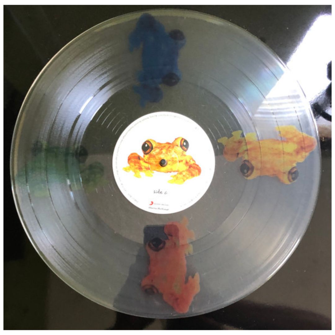 SILVERCHAIR - FROGSTOMP (CLEAR VINYL) (2LP) | VINILO