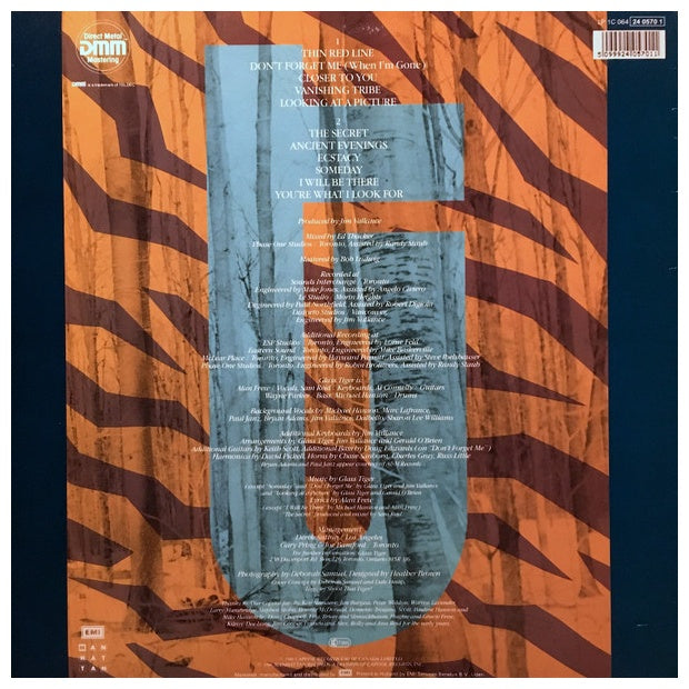 GLASS TIGER - THE THIN RED LINE | VINILO USADO