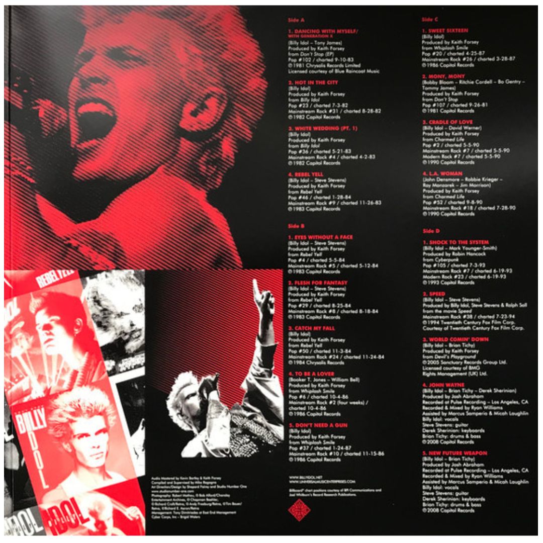BILLY IDOL - THE VERY BEST IDOLIZE YOURSELF (2LP) | VINILO