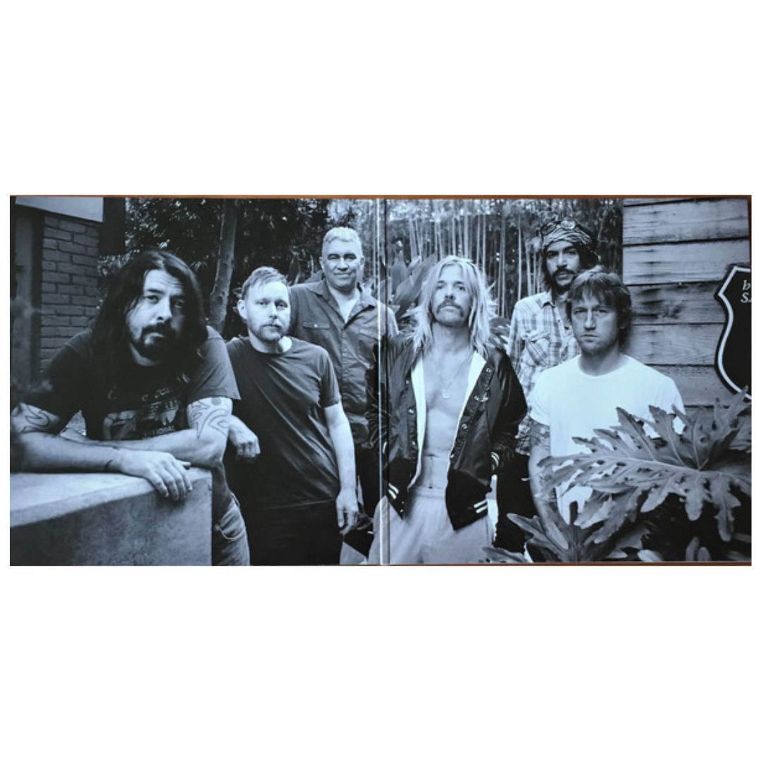 FOO FIGHTERS - THE ESSENTIAL (2LP) | VINILO