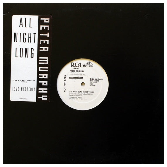 PETER MURPHY - ALL NIGHT LONG | 12" MAXI SINGLE USADO
