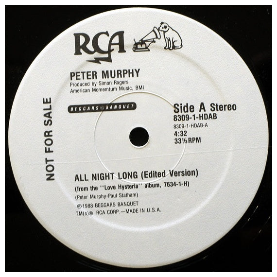 PETER MURPHY - ALL NIGHT LONG | 12" MAXI SINGLE USADO