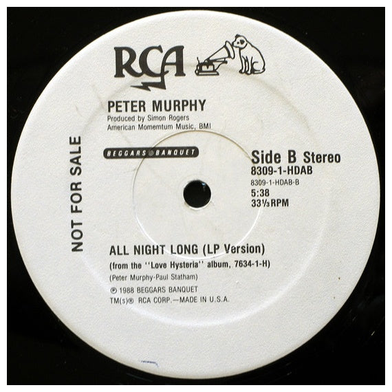 PETER MURPHY - ALL NIGHT LONG | 12" MAXI SINGLE USADO