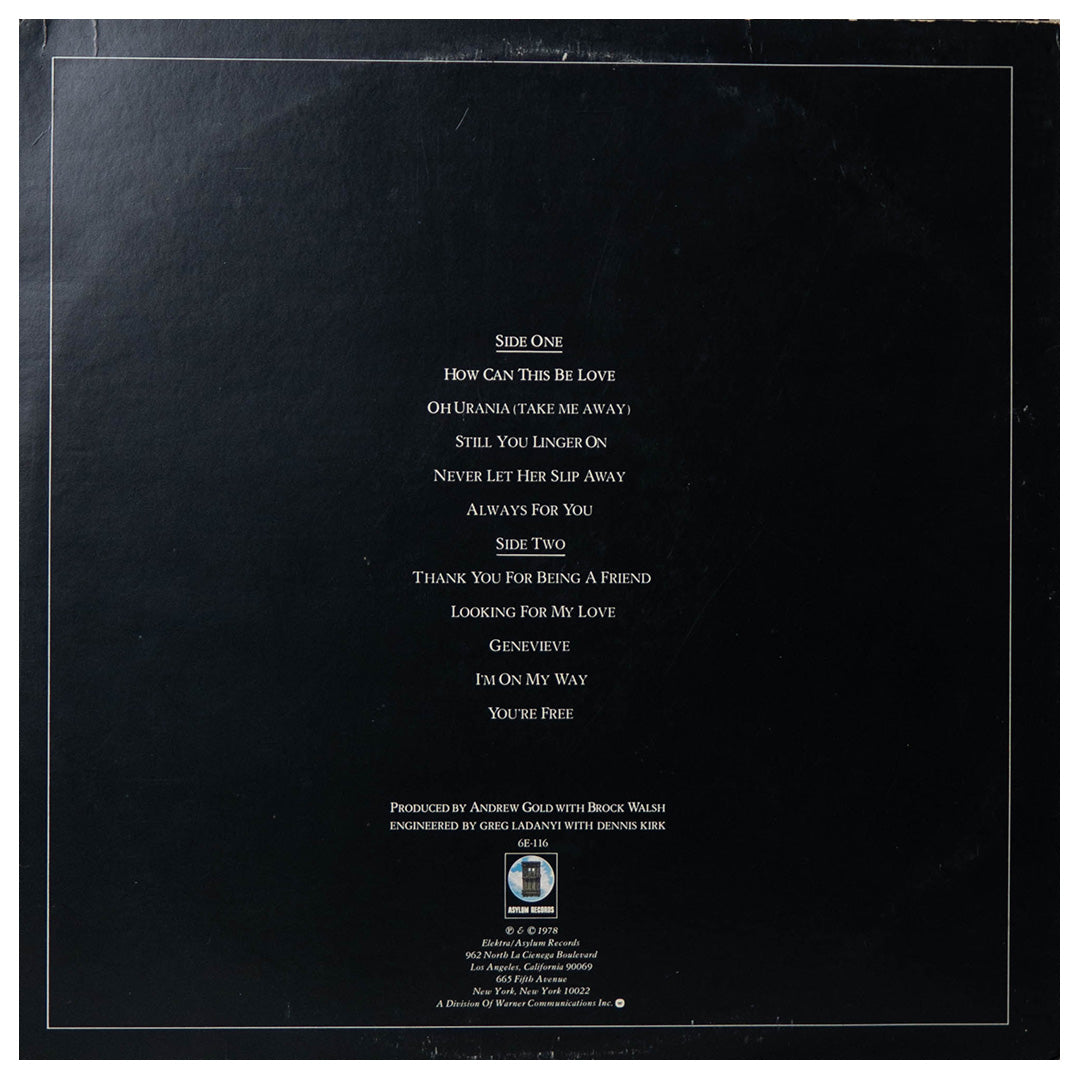 ANDREW GOLD - ALL THIS AND HEAVEN TOO | VINILO USADO