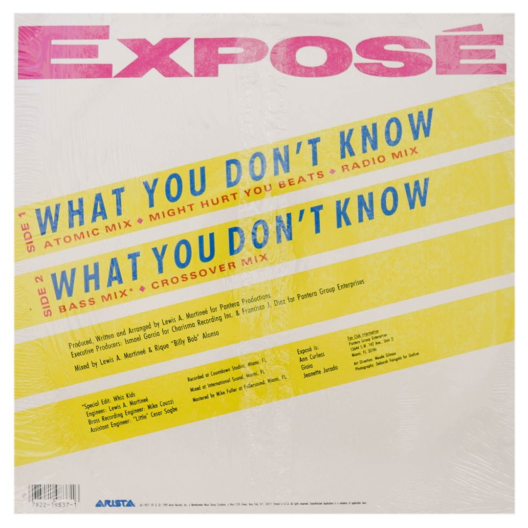 EXPOSÉ - WHAT YOU DON'T KNOW | 12" MAXI SINGLE USADO