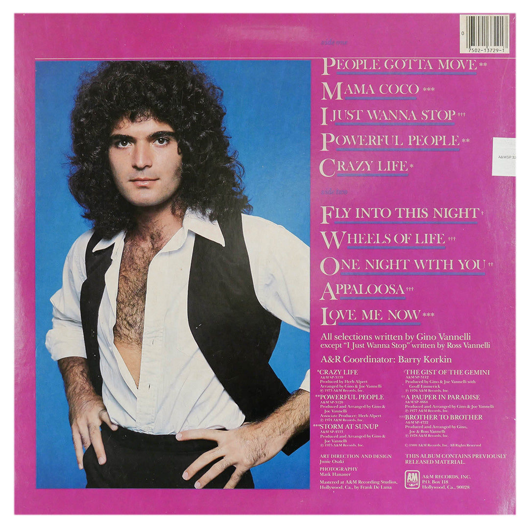 GINO VANNELLI - THE BEST OF | VINILO USADO