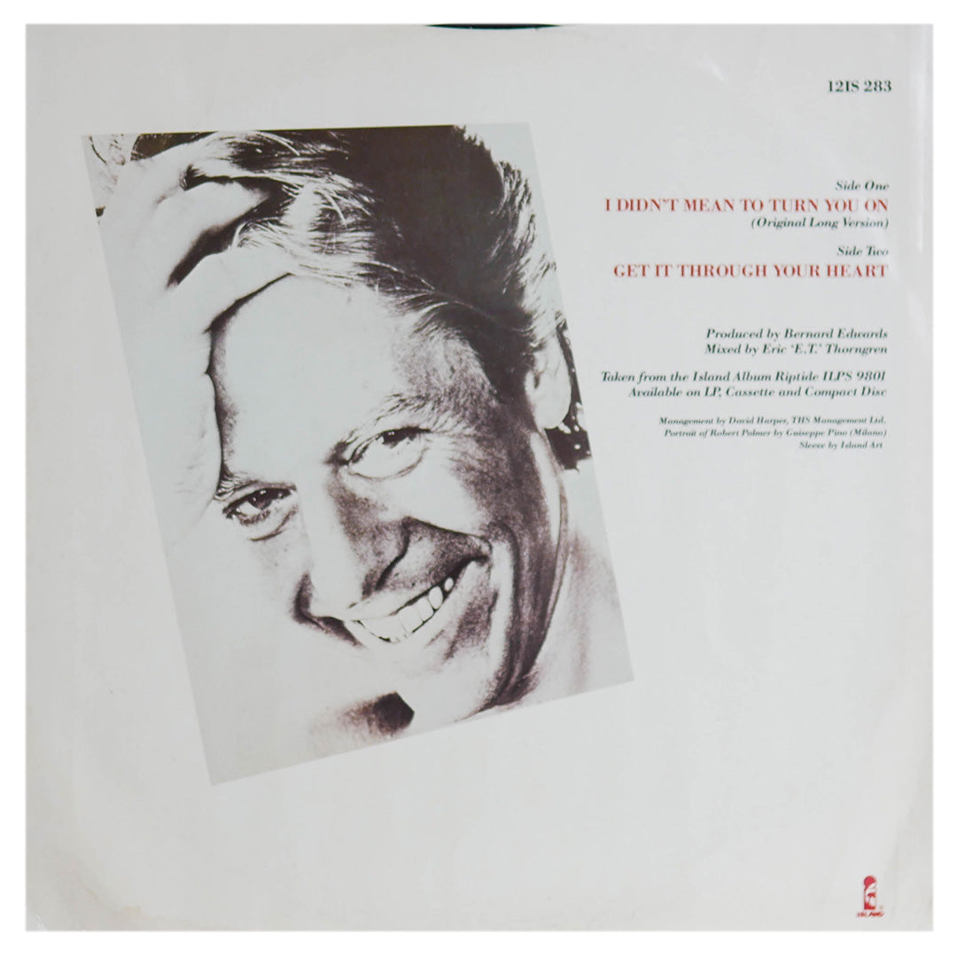 ROBERT PALMER - I DIDN'T MEAN TO TURN YOU ON | 12" MAXI SINGLE USADO