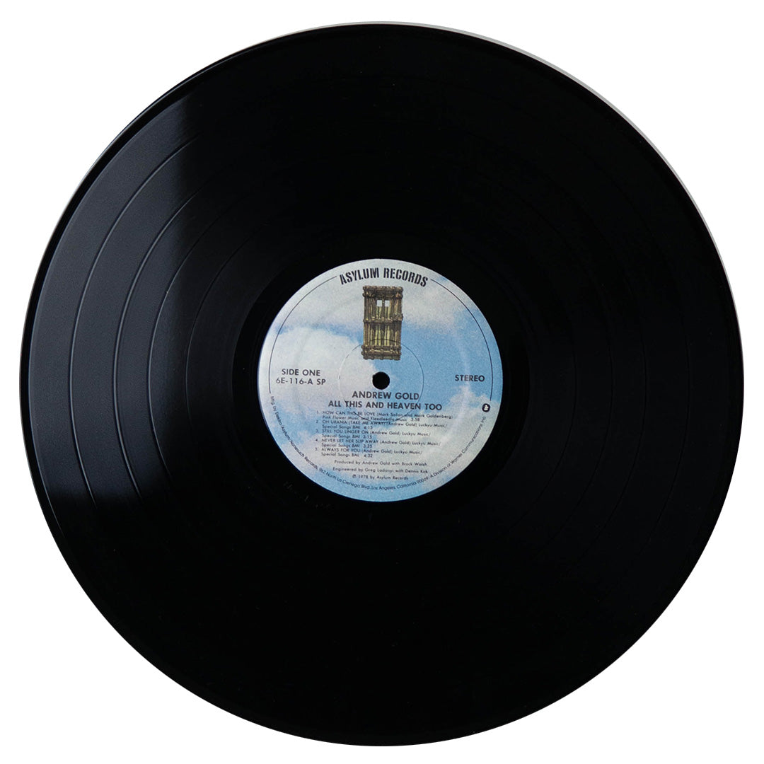 ANDREW GOLD - ALL THIS AND HEAVEN TOO | VINILO USADO