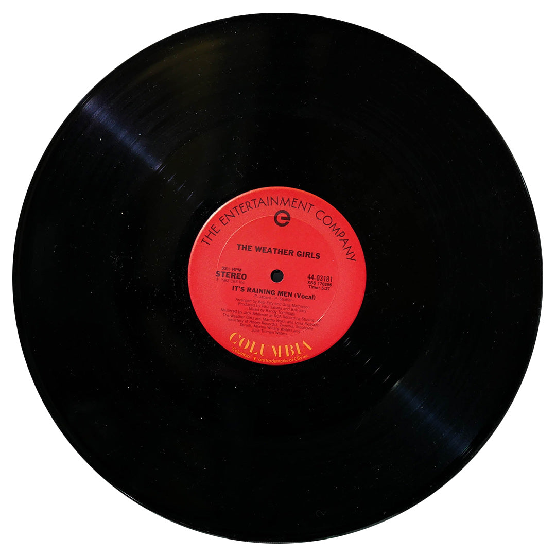 THE WEATHER GIRLS - IT'S A RAINING MEN | 12" MAXI SINGLE USADO