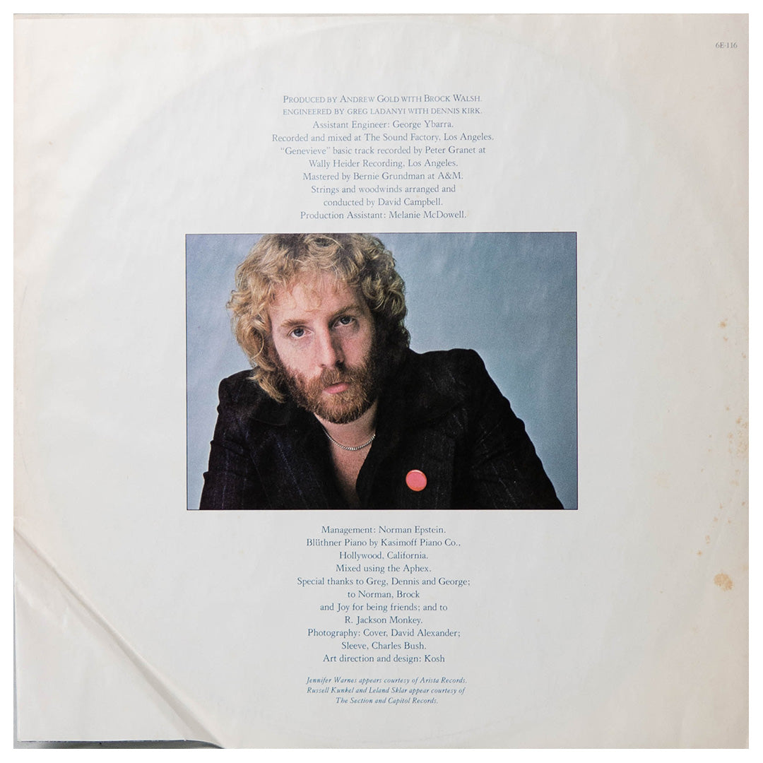 ANDREW GOLD - ALL THIS AND HEAVEN TOO | VINILO USADO