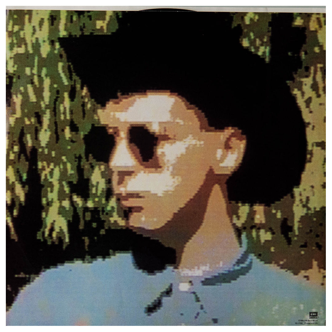 PET SHOP BOYS - DISCO | VINILO USADO