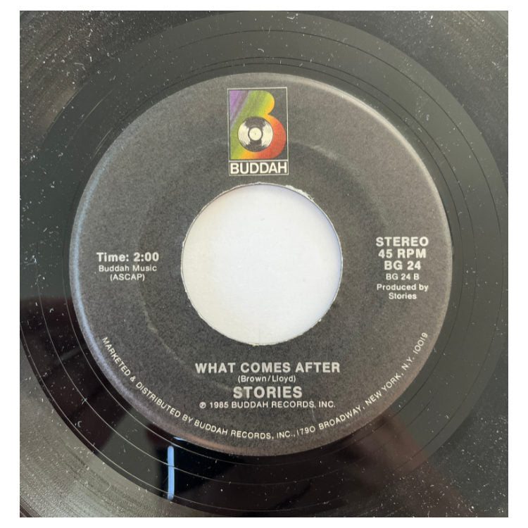 STORIES - BROTHER LOUIE | 7" SINGLE VINILO USADO