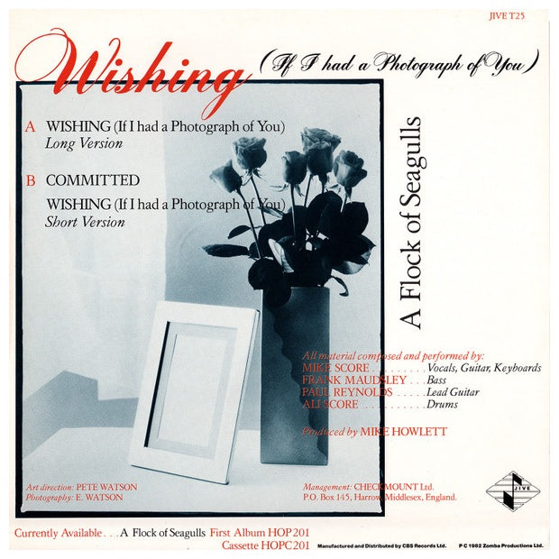 A FLOCK OF SEAGULLS - WISHING (IF I HAD A PHOTOGRAPH OF YOU) | 12" MAXI SINGLE USADO
