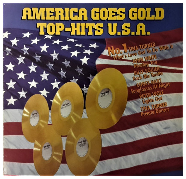AMERICA GOES GOLD - TOP-HITS USA | VINILO USADO