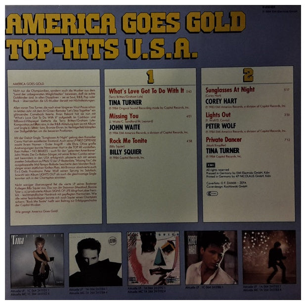 AMERICA GOES GOLD - TOP-HITS USA | VINILO USADO