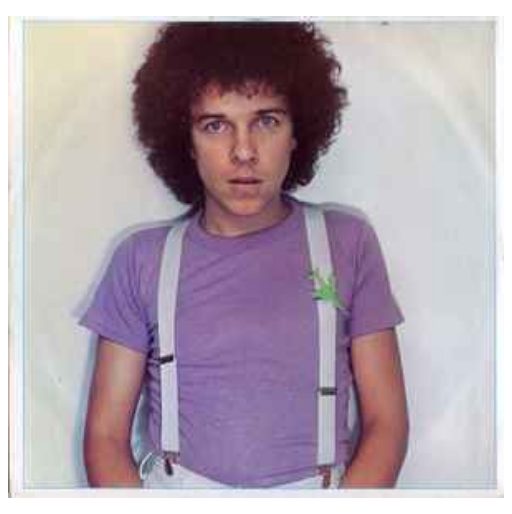 LEO SAYER - ENDLESS FLIGHT | VINILO USADO