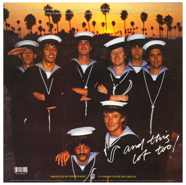 ROD STEWARD - TONIGHT I'M YOURS | VINILO USADO