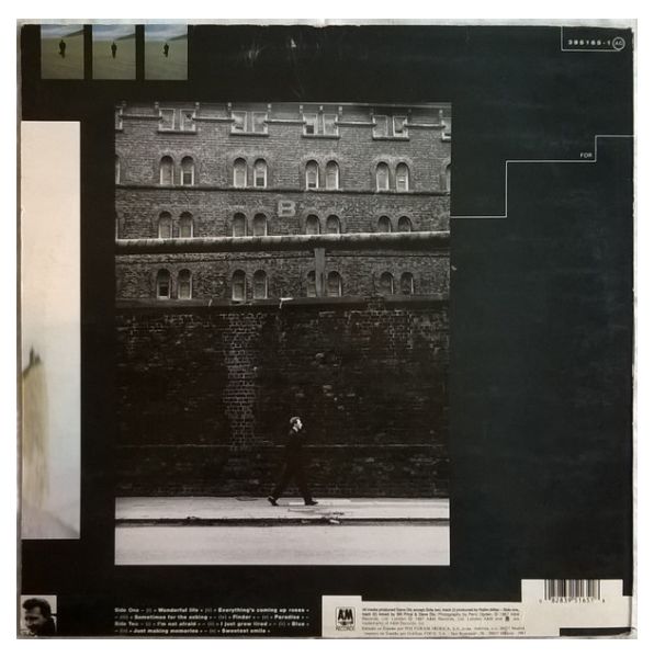 BLACK - WONDERFUL LIFE | VINILO USADO