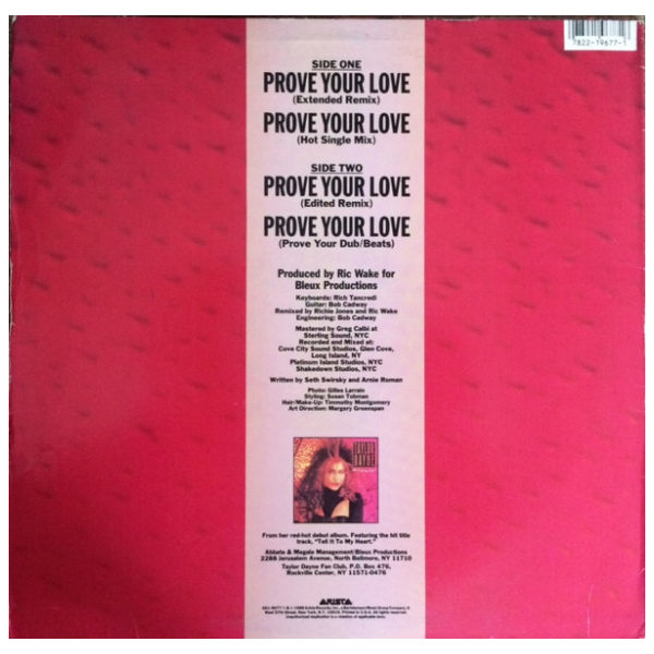 TAYLOR DAYNE - PROVE YOUR LOVE | 12" MAXI SINGLE USADO