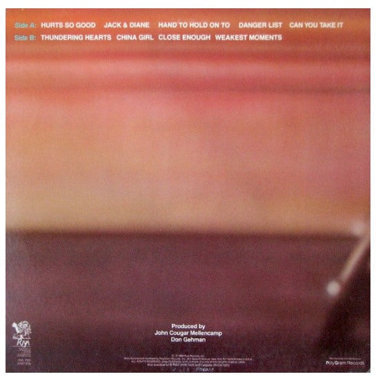 JOHN COUGAR - AMERICAN FOOL | VINILO USADO