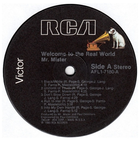 MR. MISTER - WELCOME TO THE REAL WORLD | VINILO USADO
