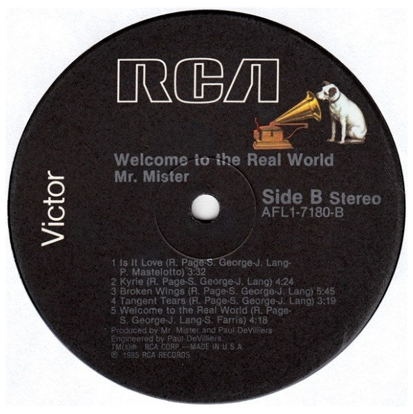 MR. MISTER - WELCOME TO THE REAL WORLD | VINILO USADO