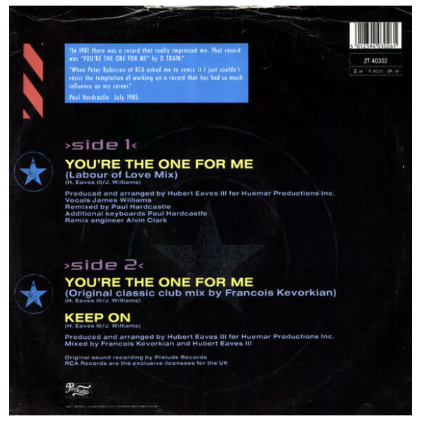 D TRAIN - YOU'RE THE ONE FOR ME (PAUL HARDCASTLE REMIX) | 12" MAXI SINGLE USADO