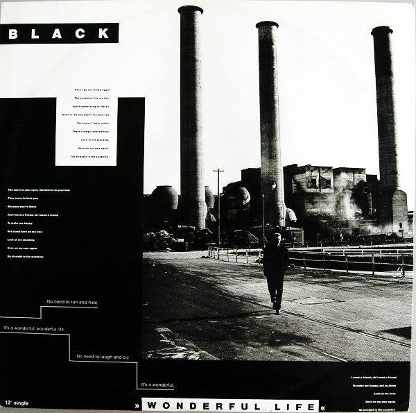 BLACK - WONDERFUL LIFE | VINILO USADO
