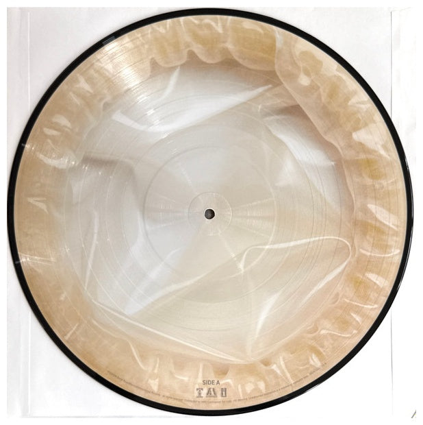 SNOOP DOGG - MISSIONATY (PICTURE DISC) | VINILO