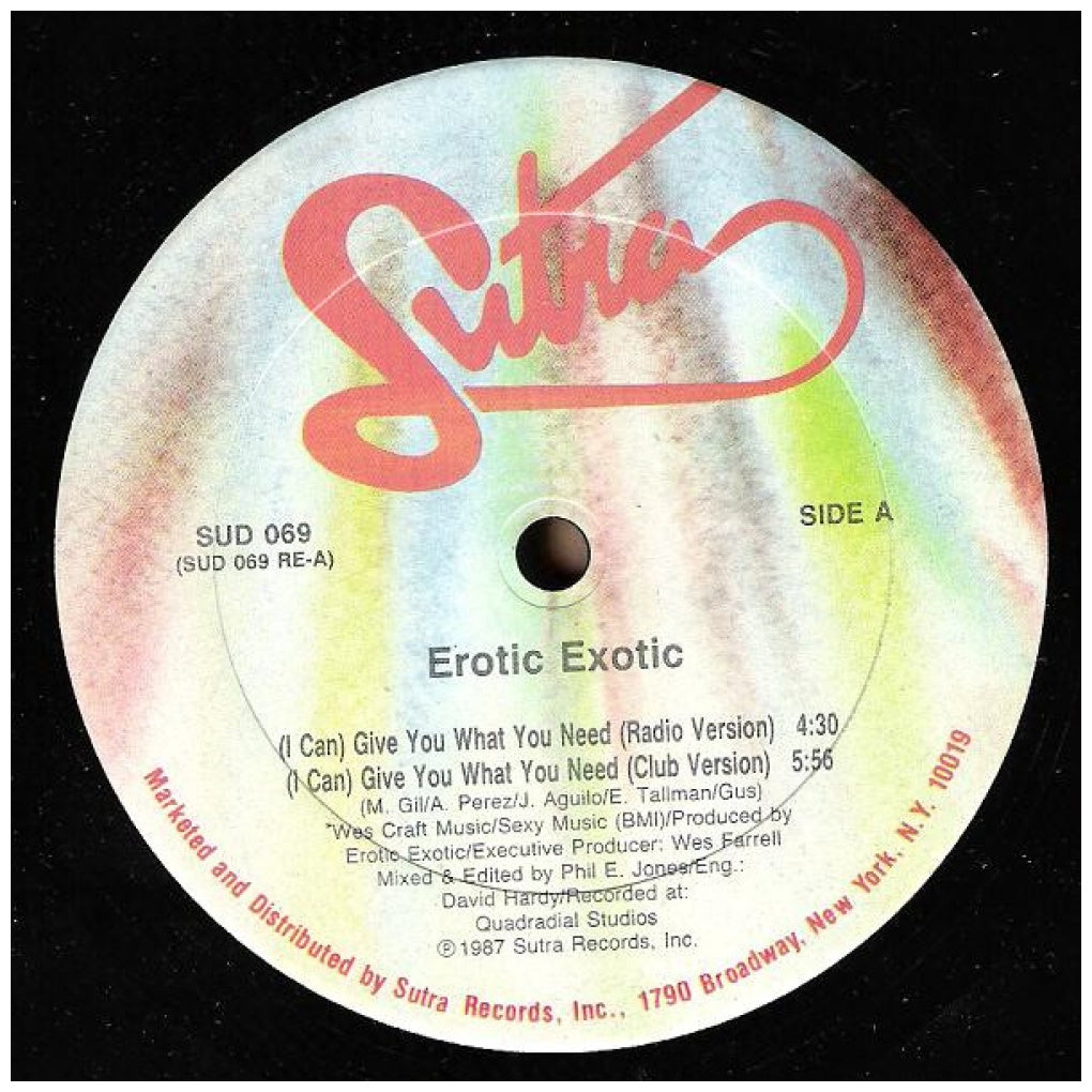 EROTIC EXOTIC - (I CAN) GIVE YOU WHATYOU NEED | 12" MAXI SINGLE VINILO USADO