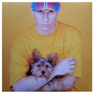 PET SHOP BOYS - INTROSPECTIVE | VINILO