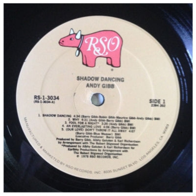 ANDY GIBB - SHADOW DANCING | VINILO